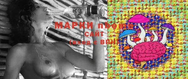 прущий лед Нефтекумск