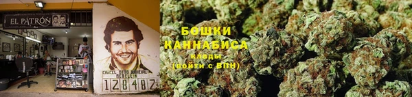 PSILOCYBIN Баксан