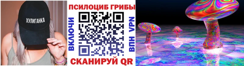 где купить   нарко площадка клад  Псилоцибиновые грибы мицелий  Шилка 